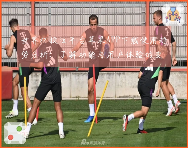 世界杯投注平台苹果APP下载使用趋势分析：了解功能与用户体验的变化