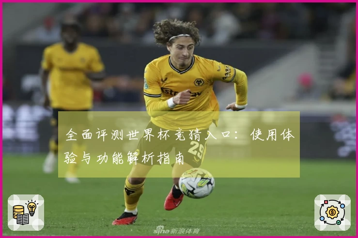 全面评测世界杯竞猜入口：使用体验与功能解析指南