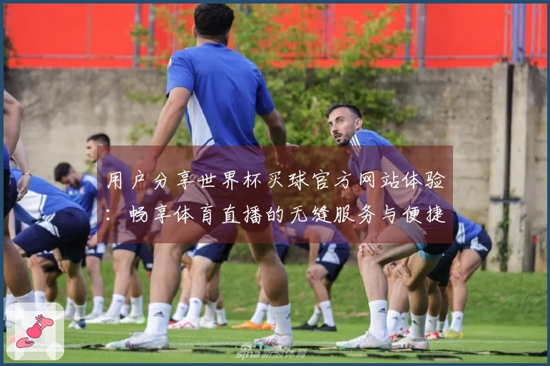 用户分享世界杯买球官方网站体验：畅享体育直播的无缝服务与便捷功能