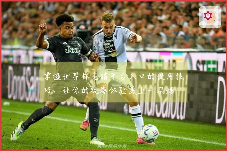 掌握世界杯竞猜平台入口的使用技巧，让你的观赛体验更上一层楼