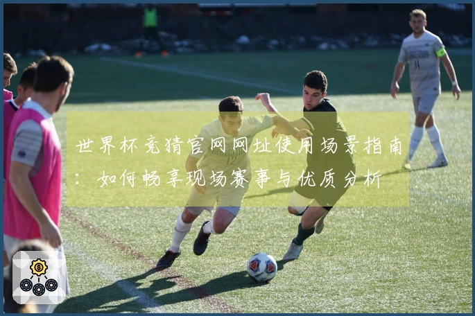 世界杯竞猜官网网址使用场景指南：如何畅享现场赛事与优质分析