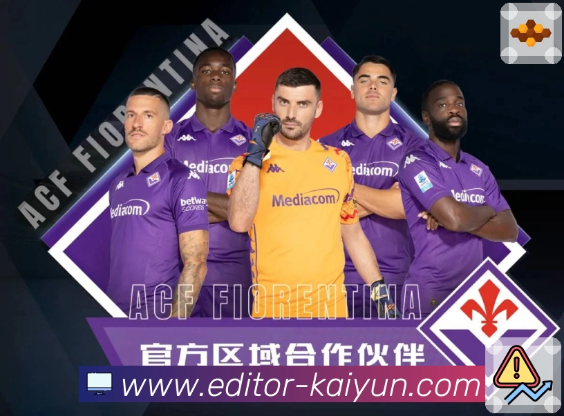 <strong>开云</strong>比赛日保障与运维团队